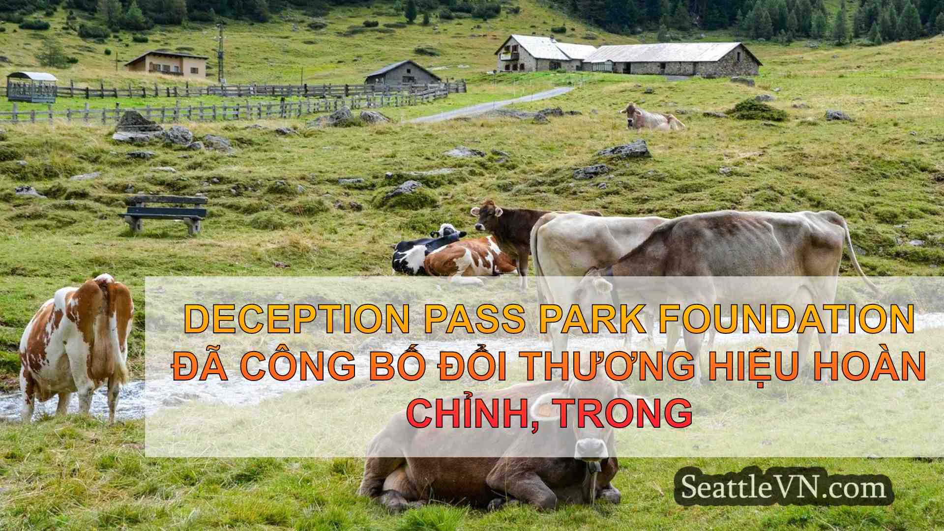 tin tức seattle SeattleVN