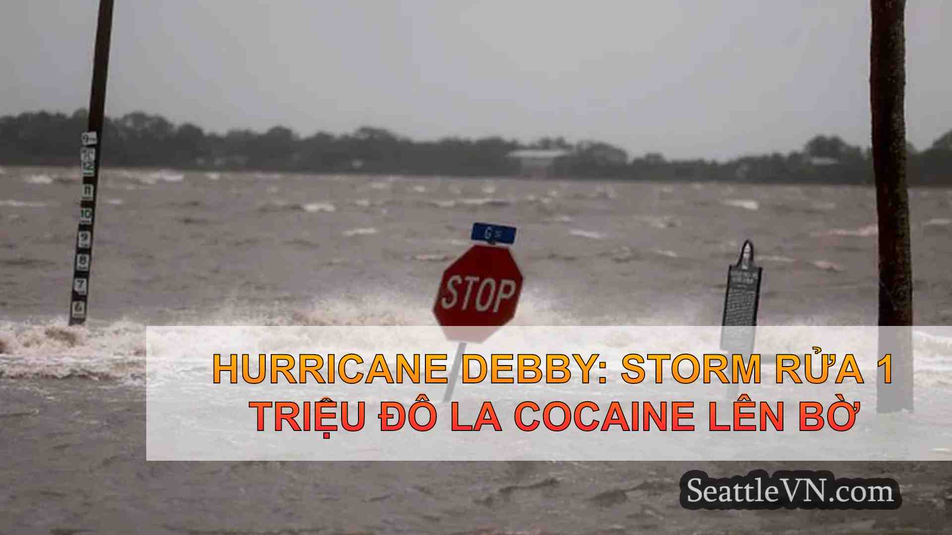 Hurricane Debby: Storm rửa 1 triệu đô