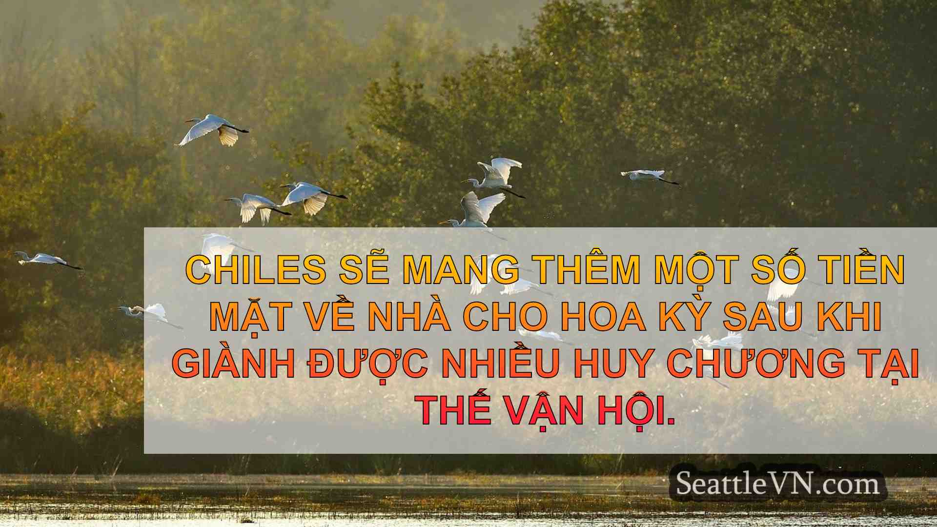 tin tức seattle SeattleVN