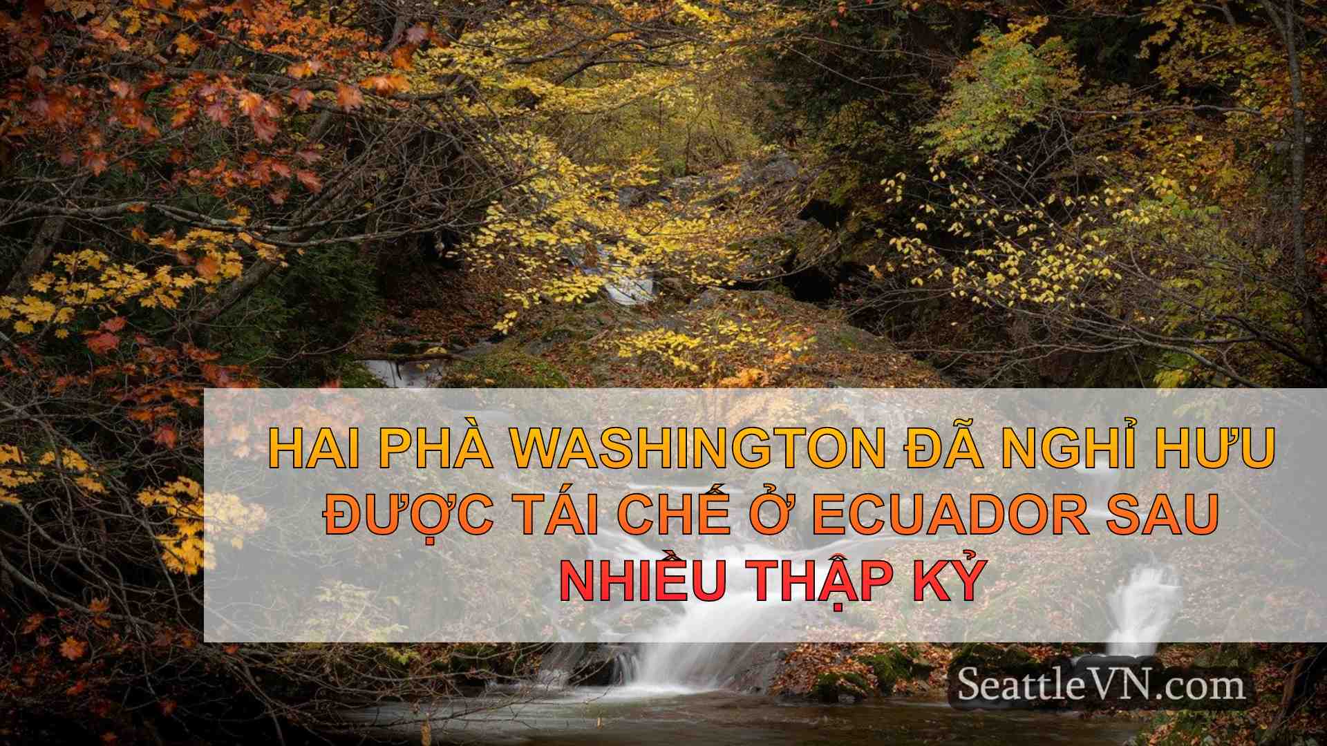 tin tức seattle SeattleVN