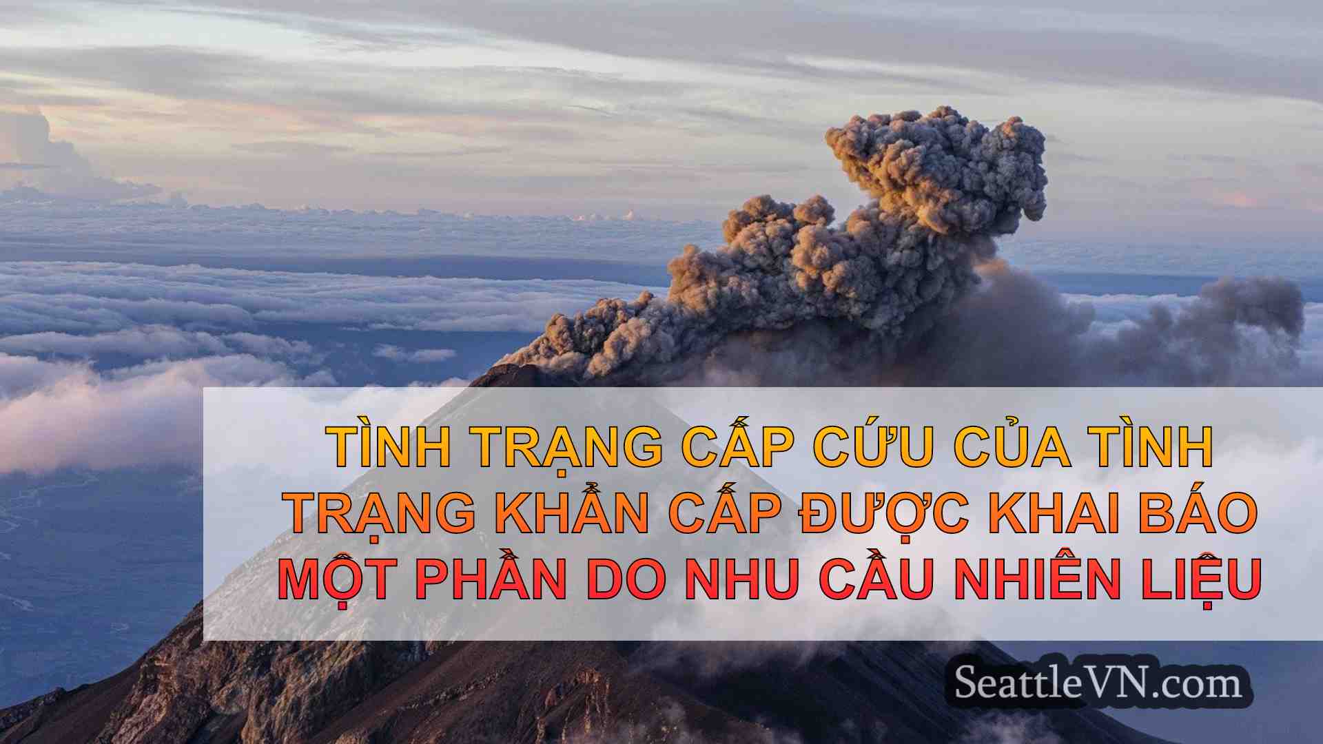 tin tức seattle SeattleVN