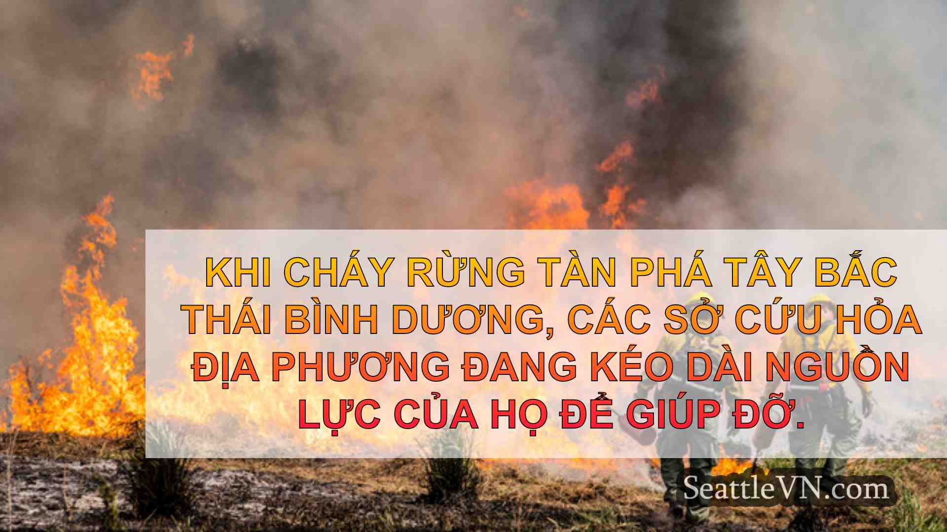 tin tức seattle SeattleVN
