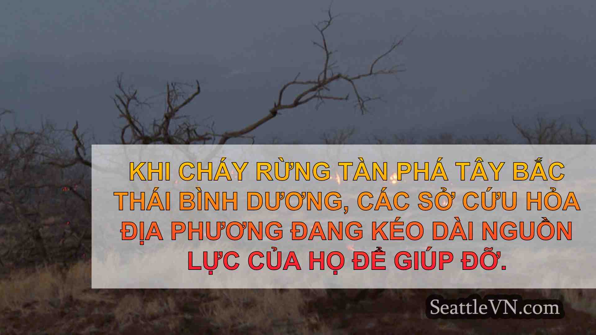 tin tức seattle SeattleVN