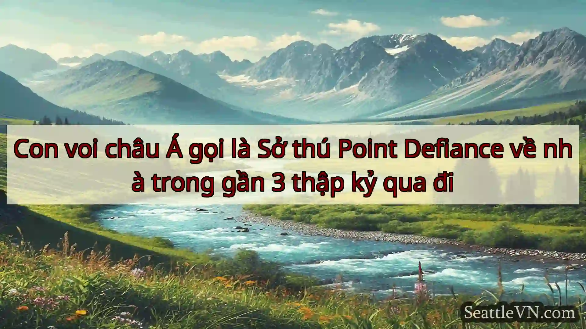 tin tức seattle Con voi châu Á gọi là Sở thú Point