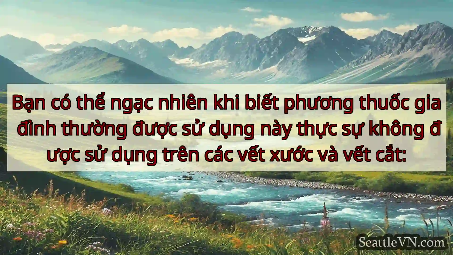 tin tức seattle Bạn có thể ngạc nhiên khi biết