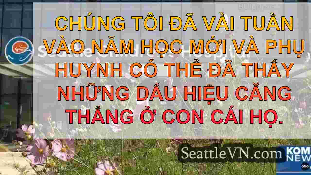 tin tức seattle SeattleVN