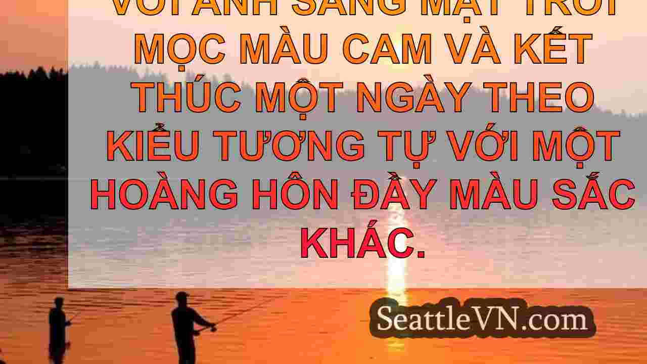 tin tức seattle SeattleVN