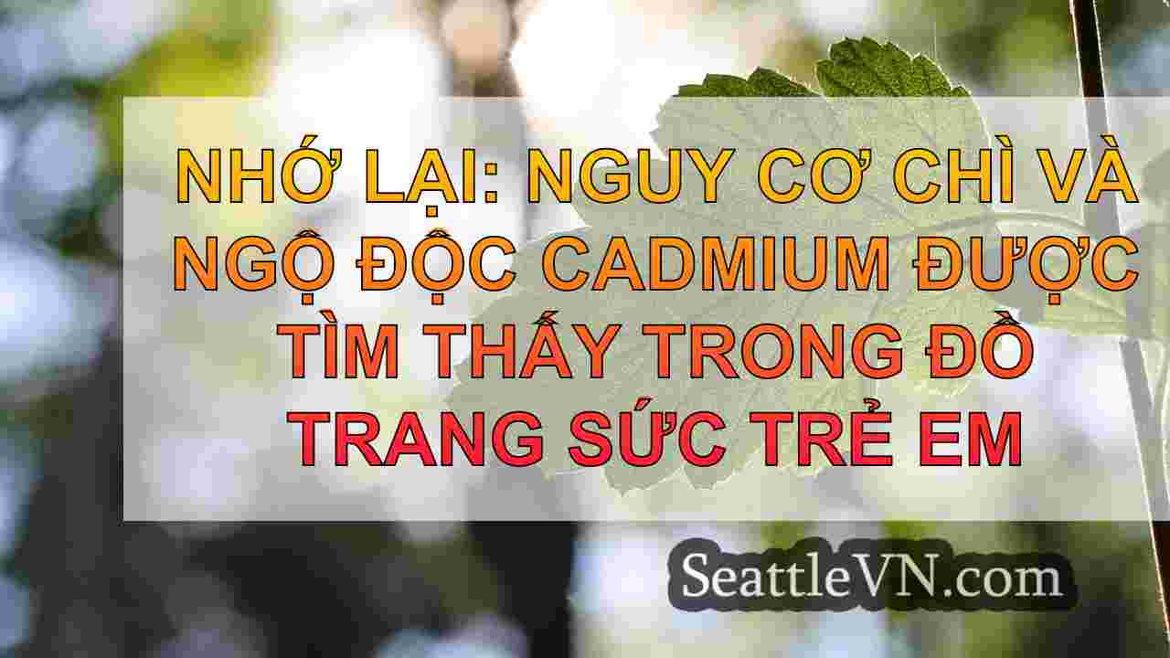 tin tức seattle SeattleVN