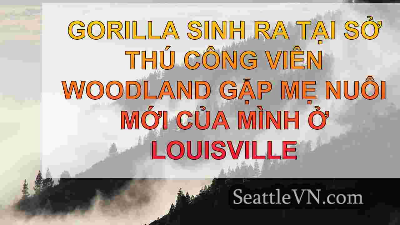 tin tức seattle SeattleVN