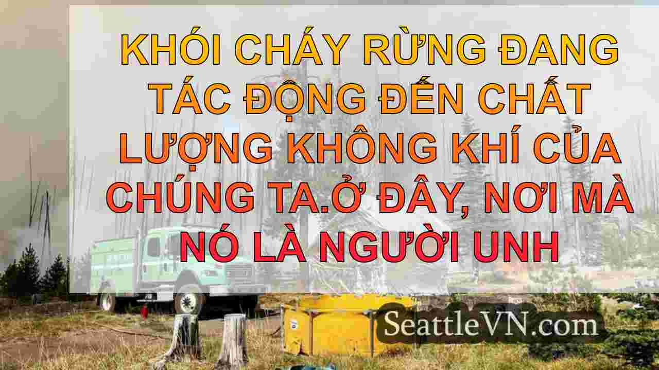 Khói cháy rừng đang tác động đến chất