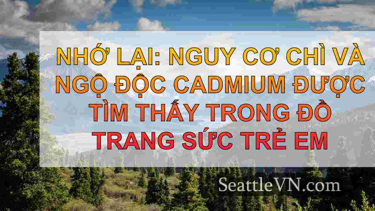 tin tức seattle SeattleVN