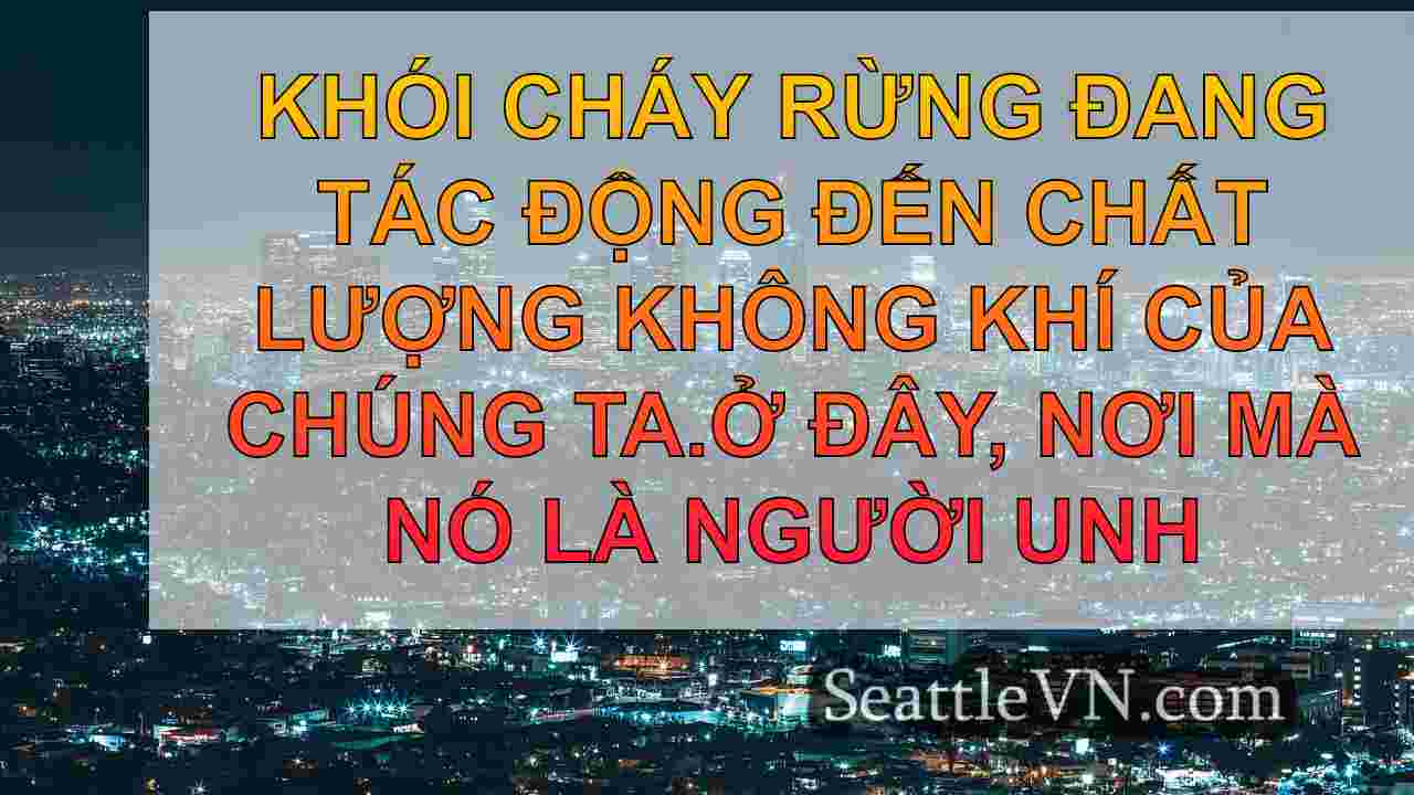 tin tức seattle SeattleVN