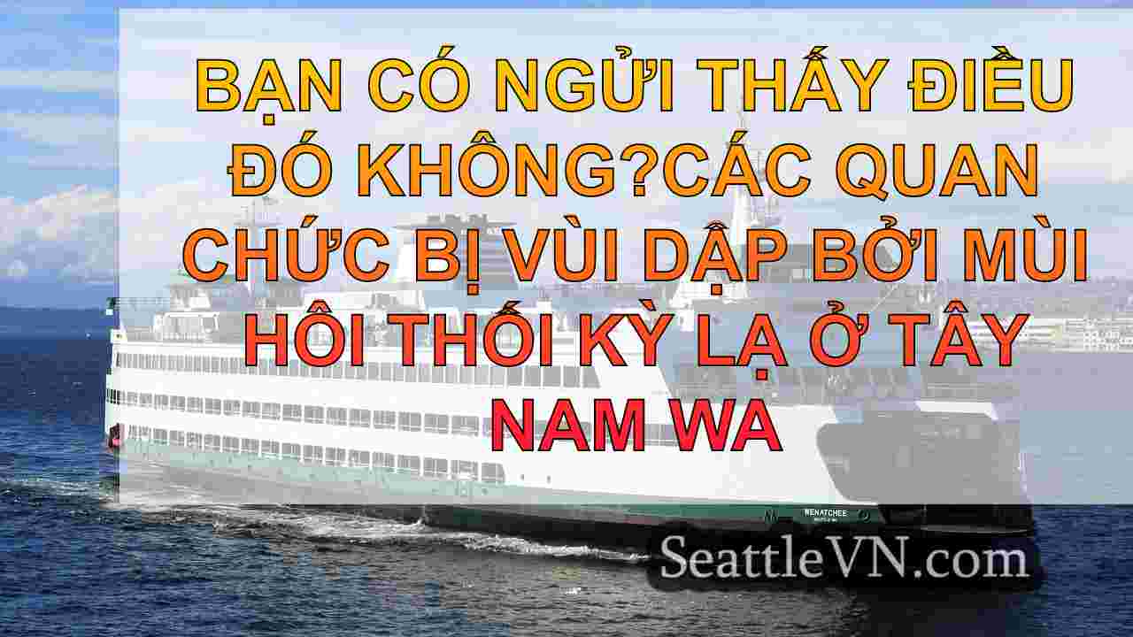 tin tức seattle SeattleVN