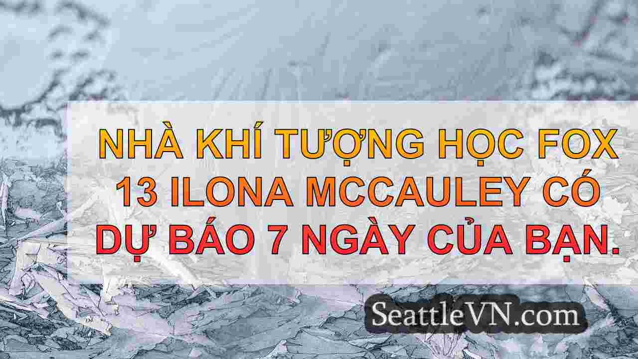 tin tức seattle SeattleVN