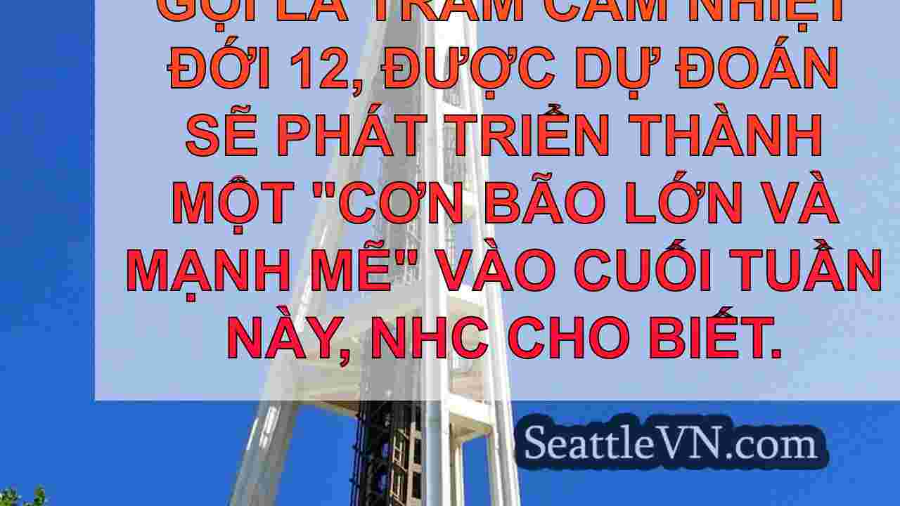 tin tức seattle SeattleVN