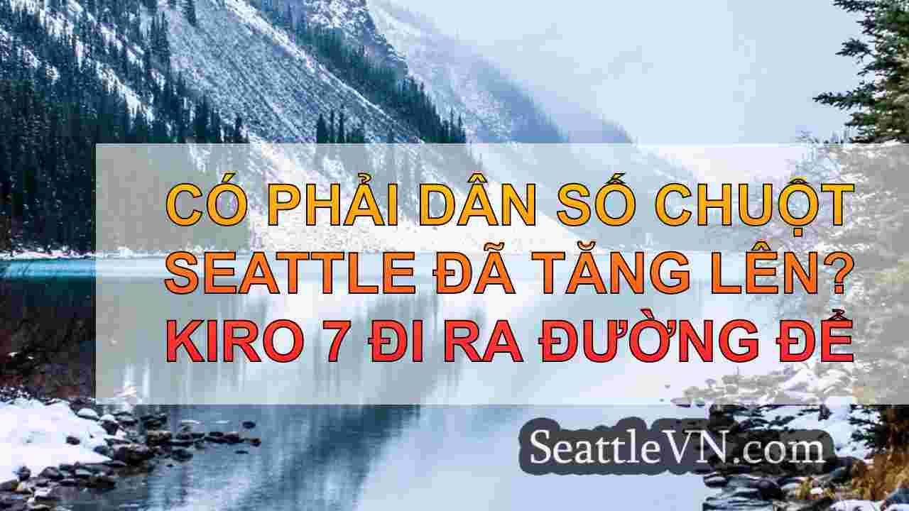 tin tức seattle SeattleVN