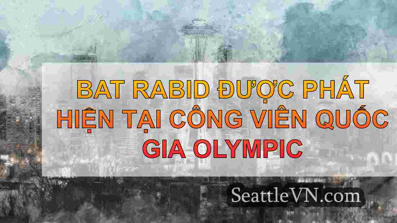 tin tức seattle SeattleVN