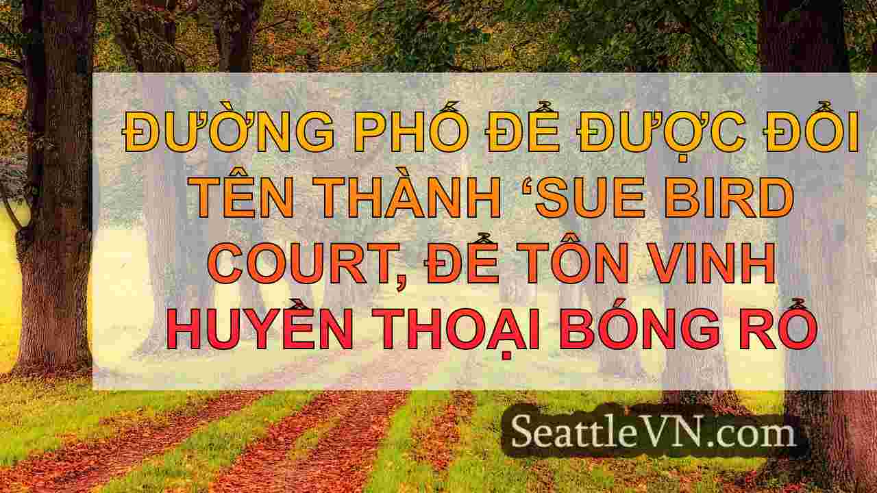 tin tức seattle SeattleVN
