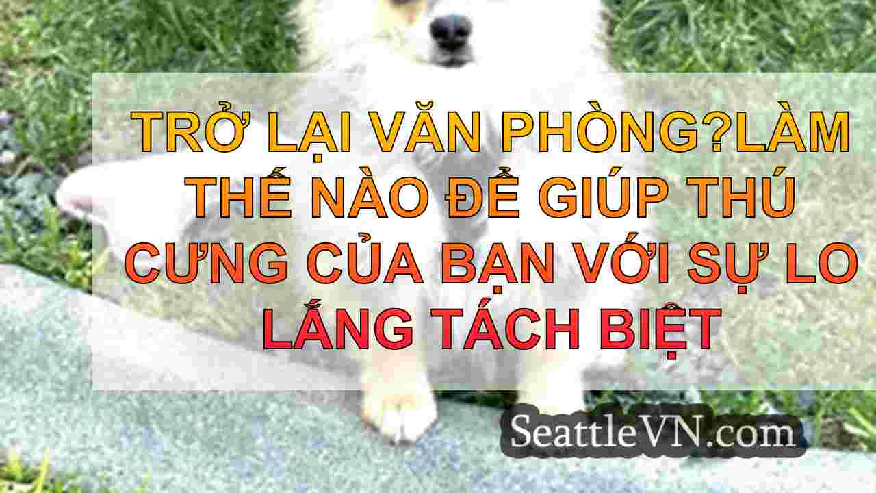 Trở lại văn phòng?Làm thế nào để giúp