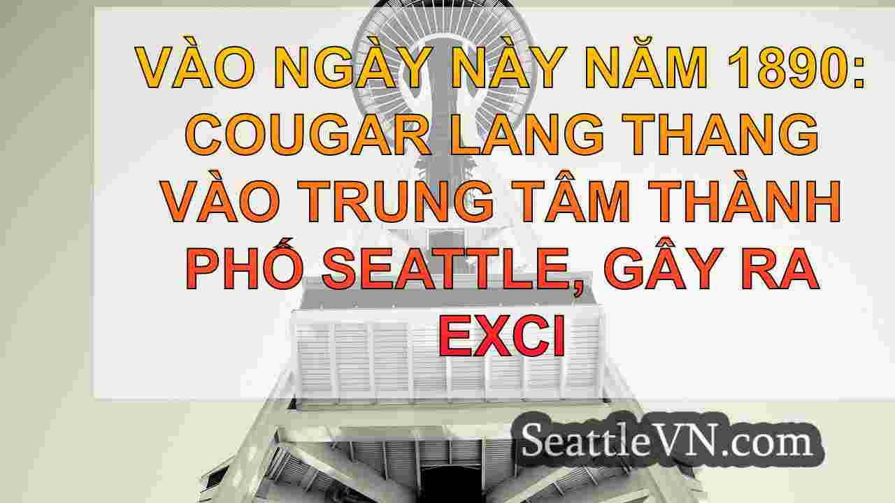 tin tức seattle SeattleVN