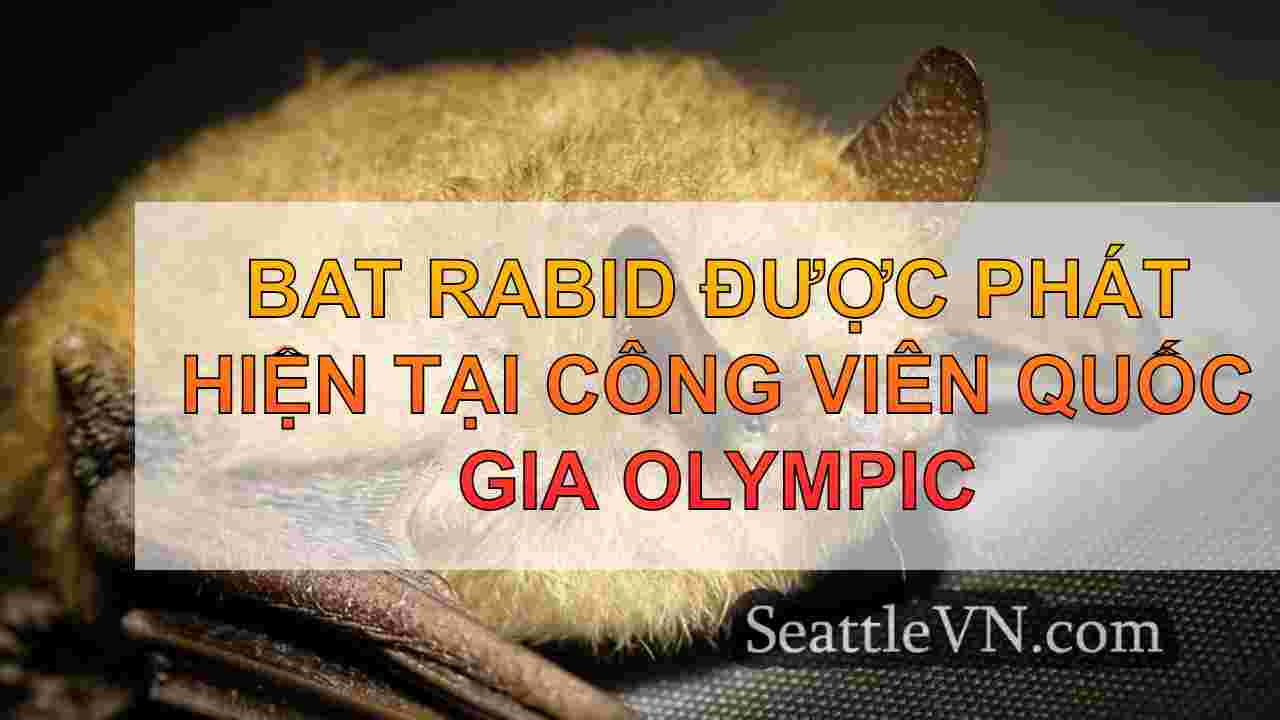 Bat Rabid được phát hiện tại Công viên