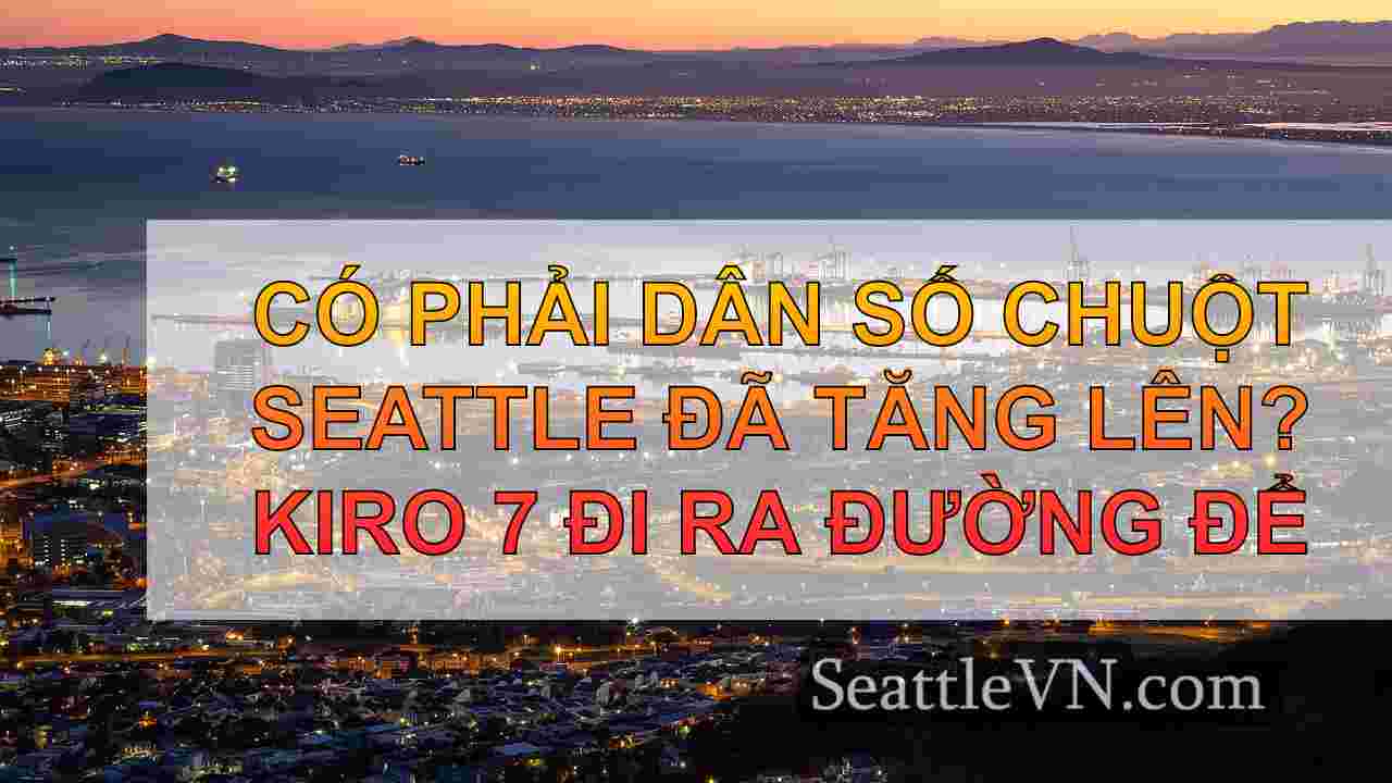 tin tức seattle SeattleVN