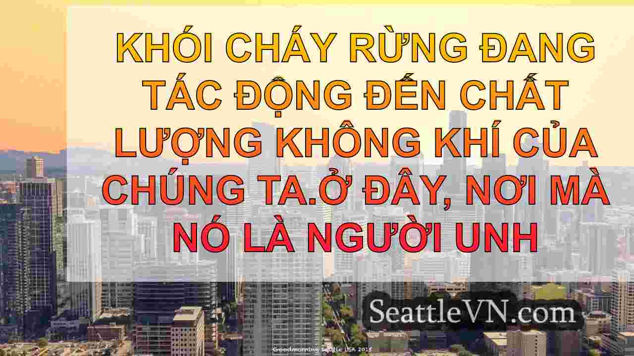 tin tức seattle SeattleVN