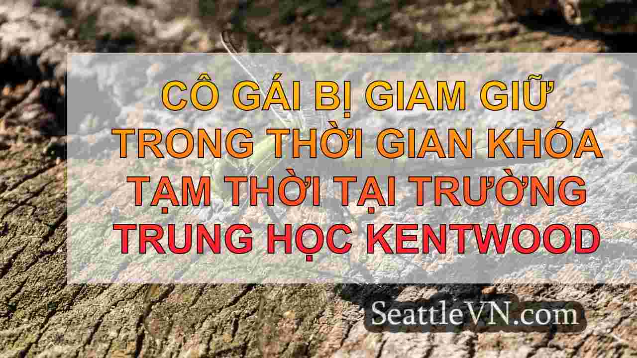 tin tức seattle SeattleVN