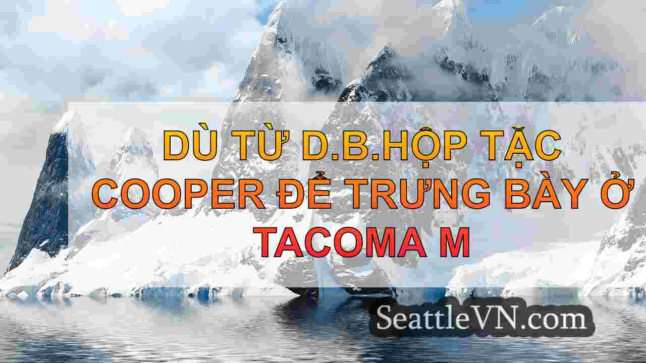 tin tức seattle SeattleVN
