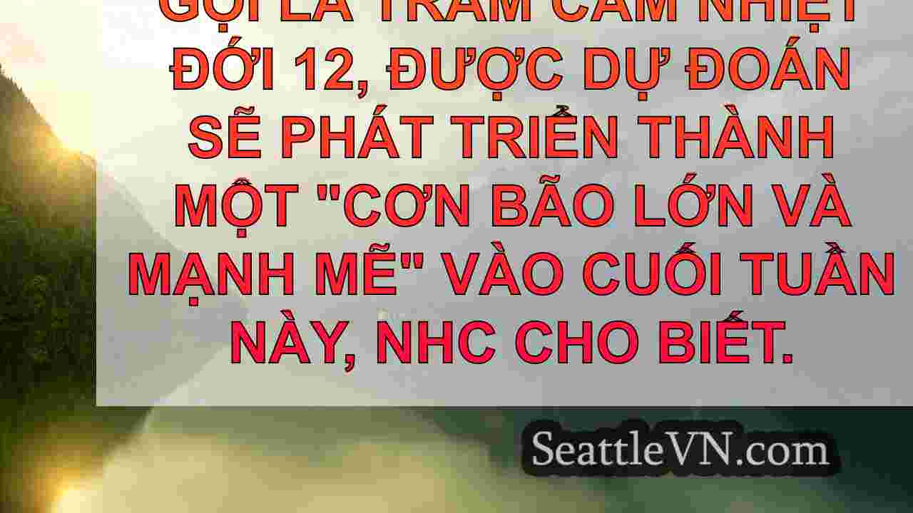 tin tức seattle SeattleVN