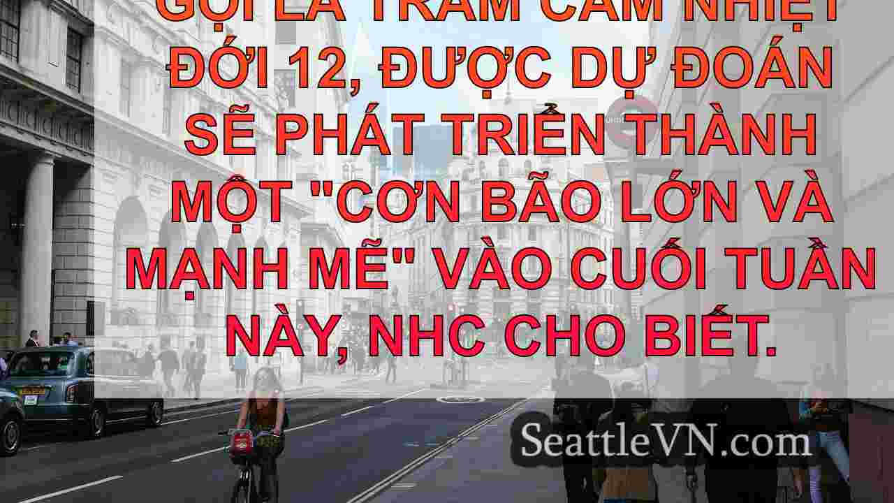 tin tức seattle SeattleVN
