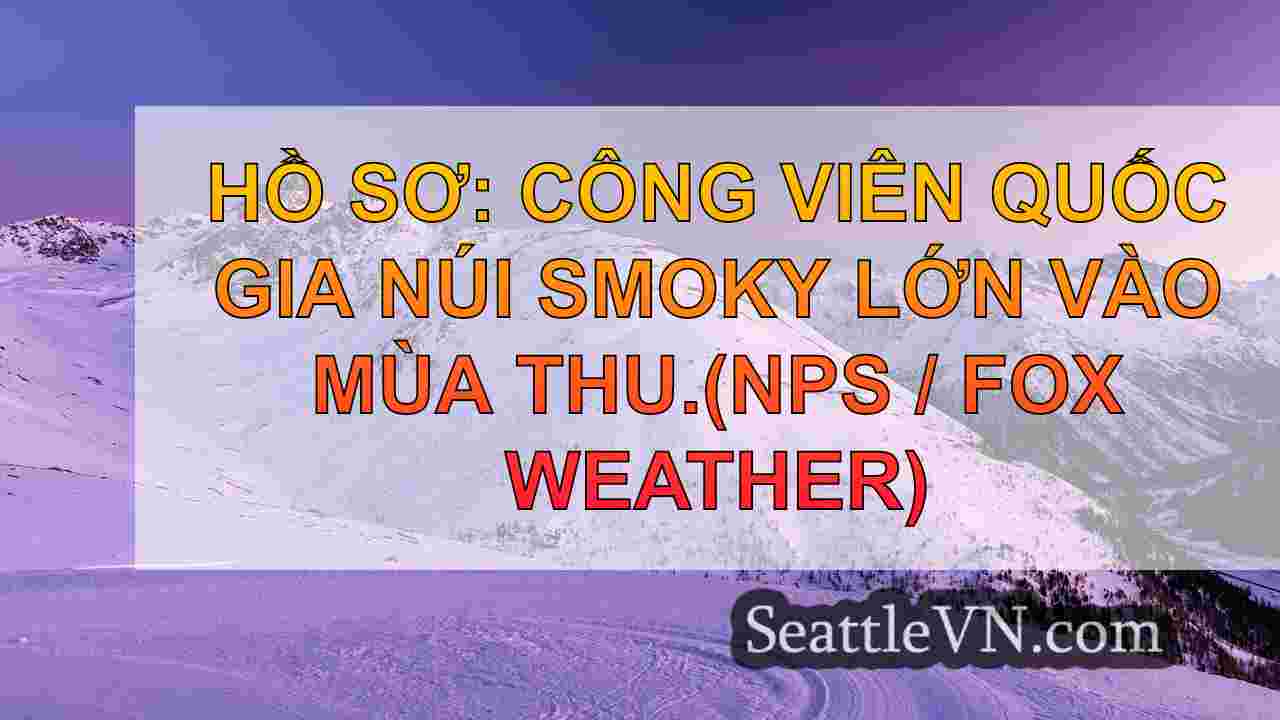 tin tức seattle SeattleVN