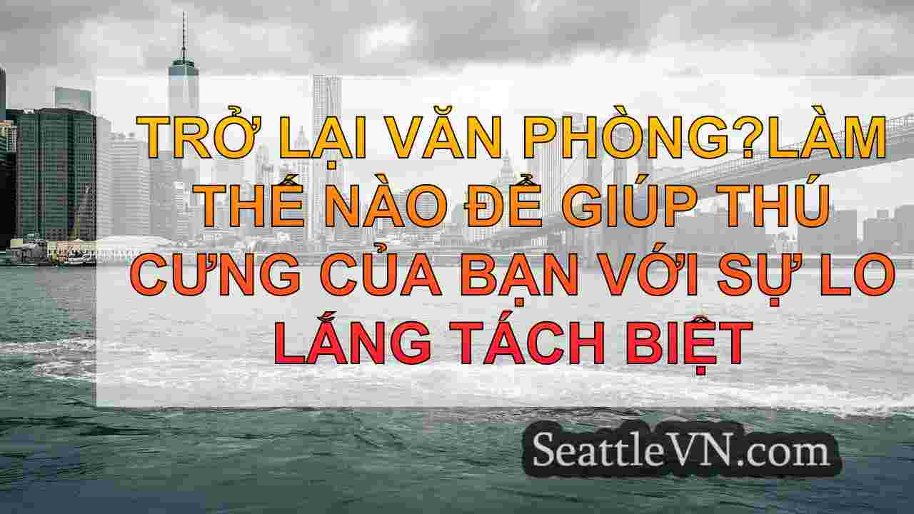 tin tức seattle SeattleVN