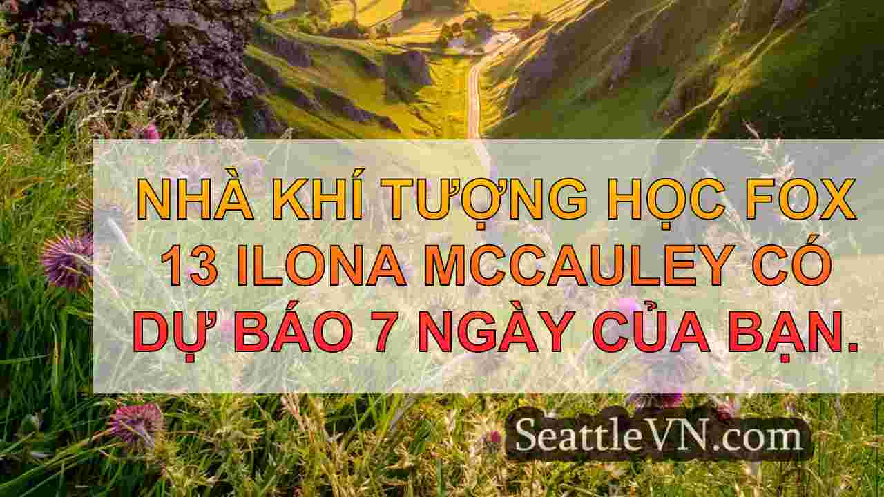 Thời tiết Seattle: Mưa, gió gió và