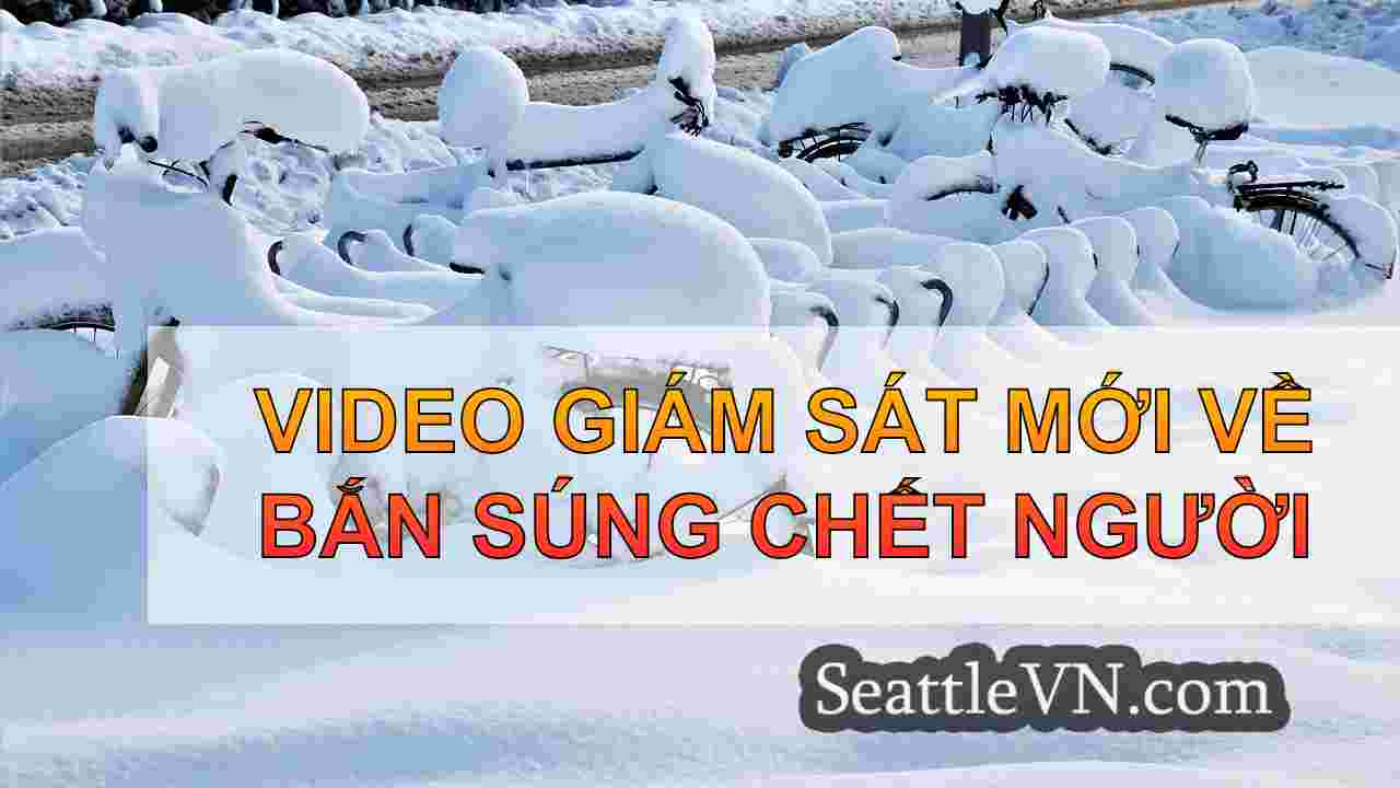 tin tức seattle SeattleVN