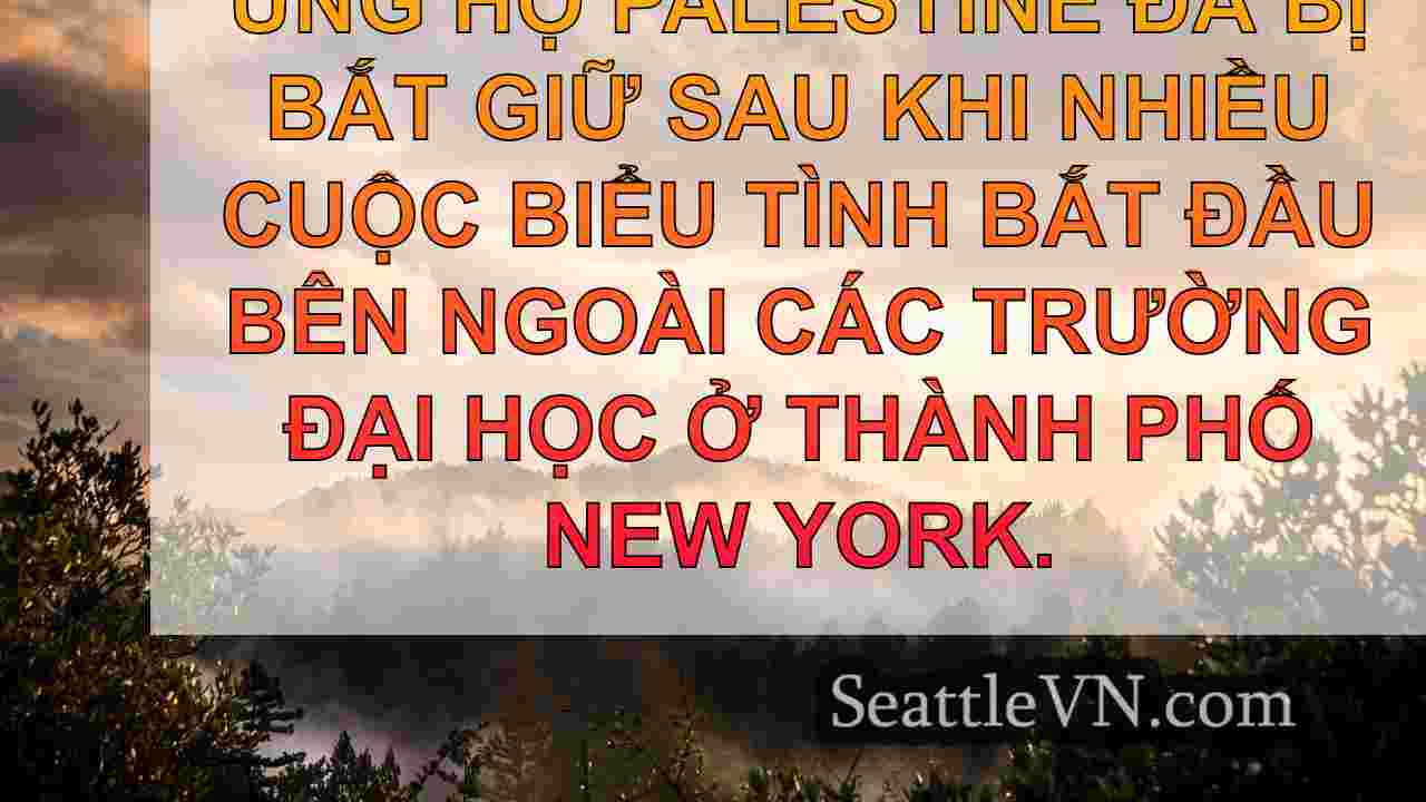 tin tức seattle SeattleVN