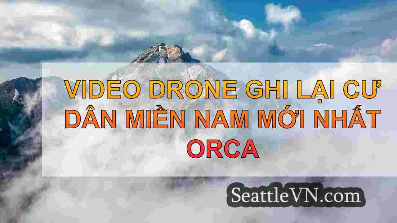 tin tức seattle SeattleVN