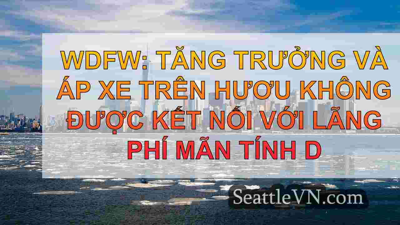 tin tức seattle SeattleVN