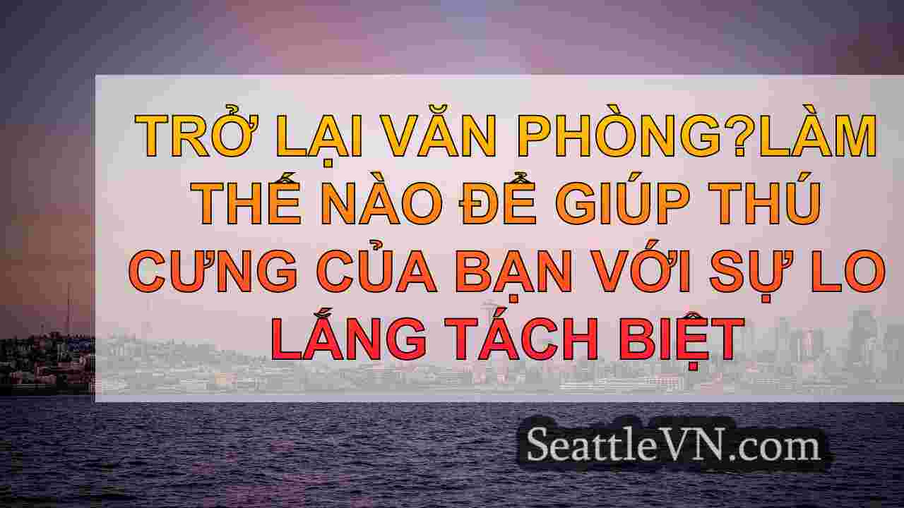tin tức seattle SeattleVN