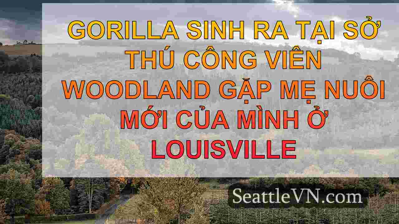 tin tức seattle SeattleVN
