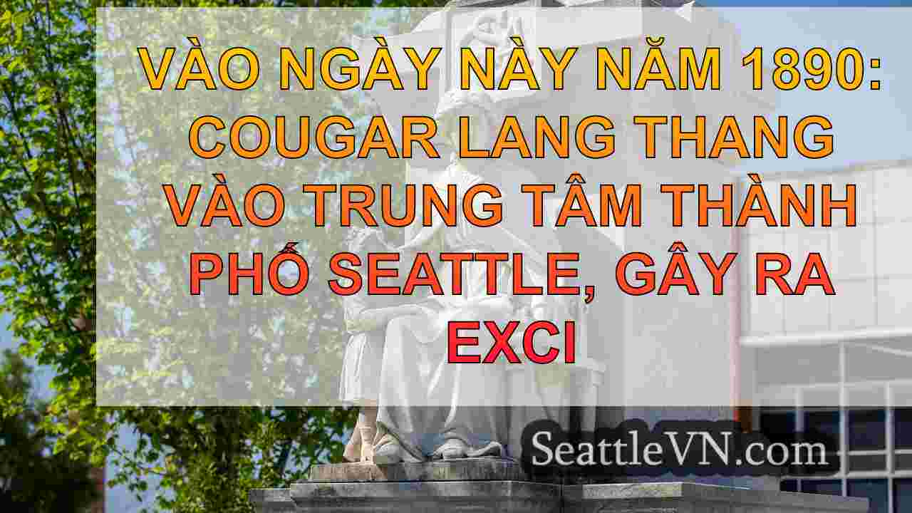 tin tức seattle SeattleVN