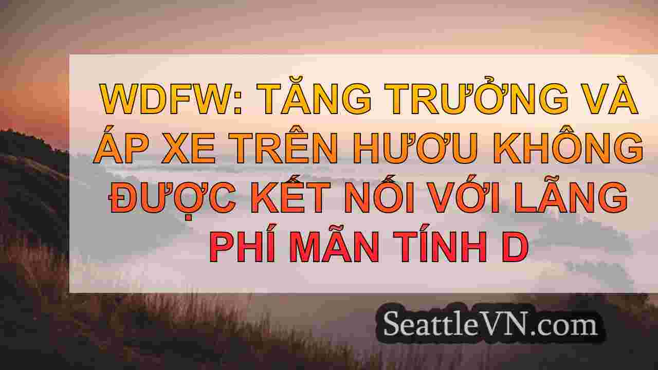 tin tức seattle SeattleVN