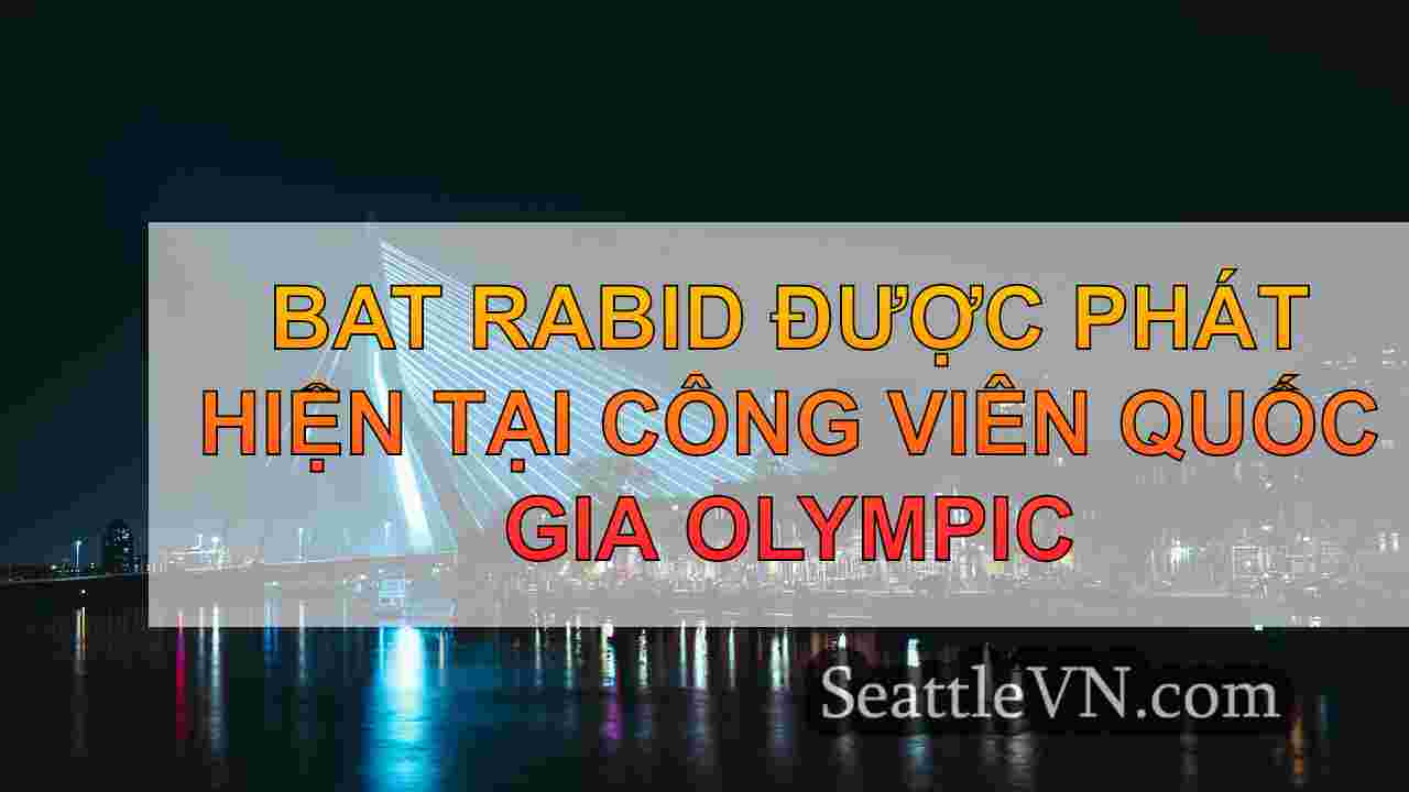 tin tức seattle SeattleVN