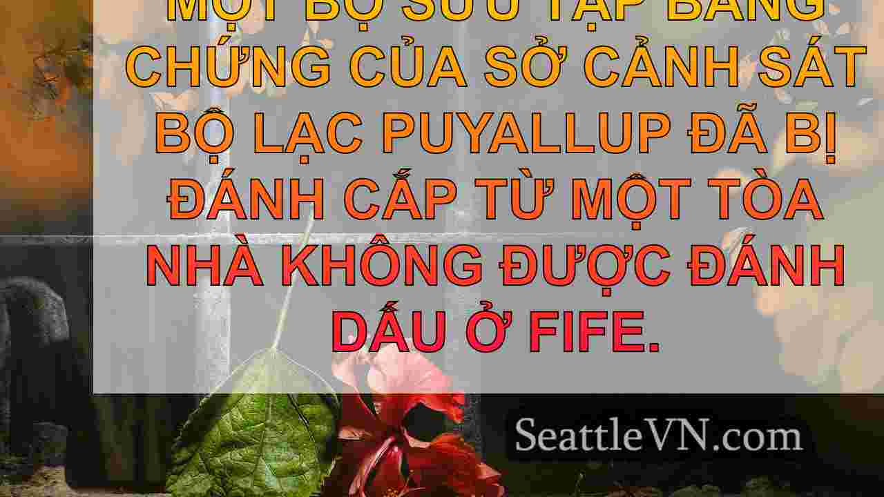 tin tức seattle SeattleVN