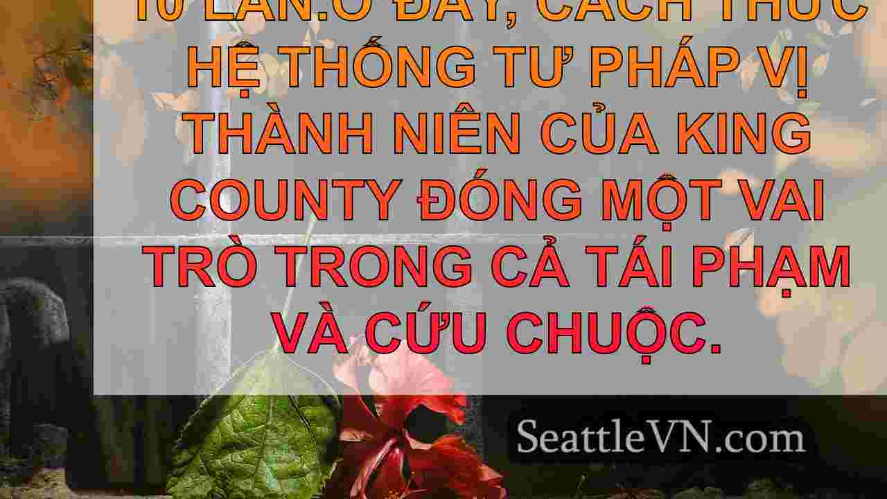 tin tức seattle SeattleVN