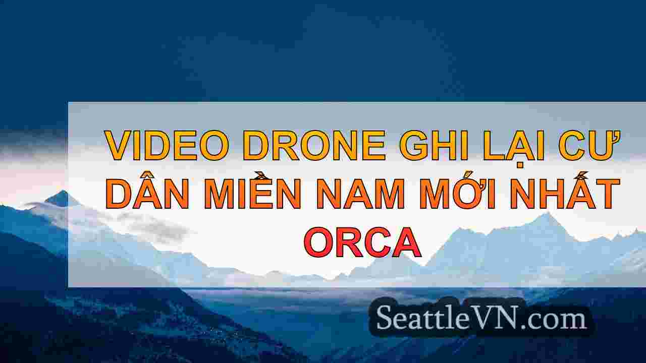 tin tức seattle SeattleVN