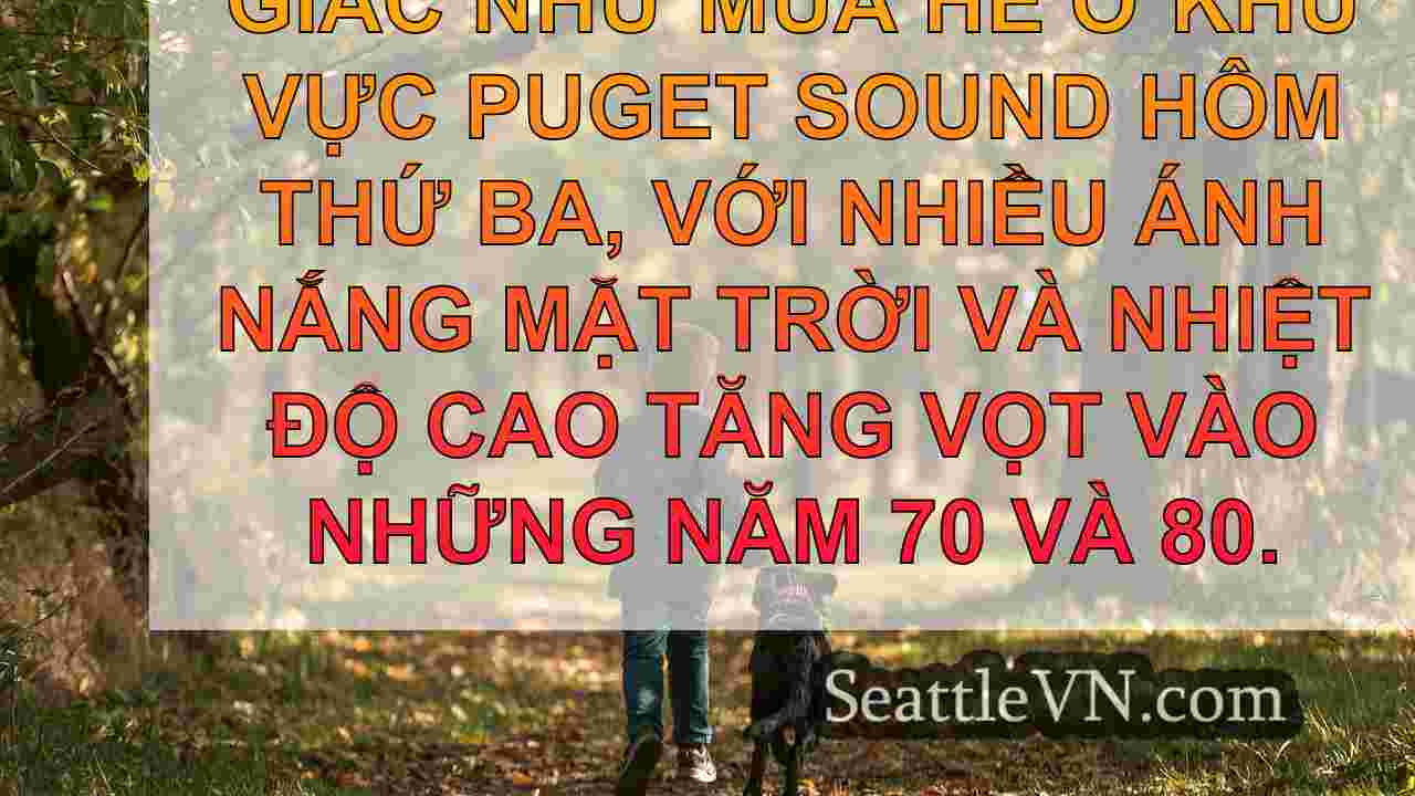 tin tức seattle SeattleVN
