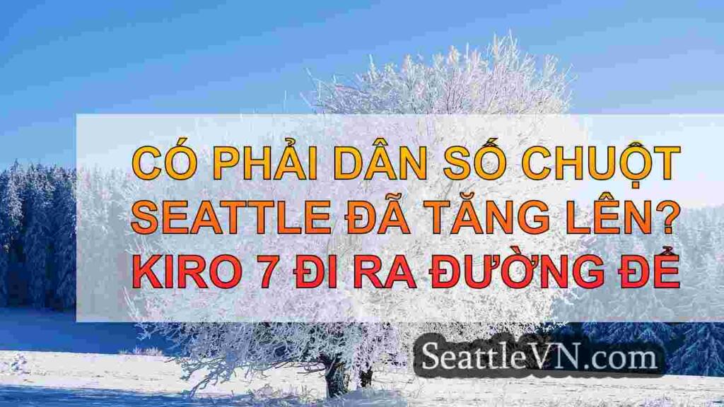 Có phải dân số chuột Seattle đã tăng