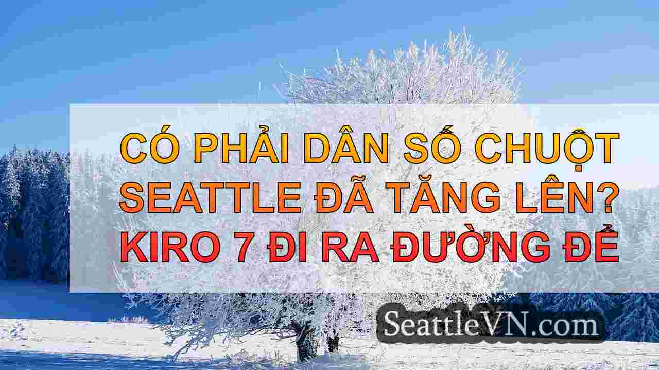 Có phải dân số chuột Seattle đã tăng