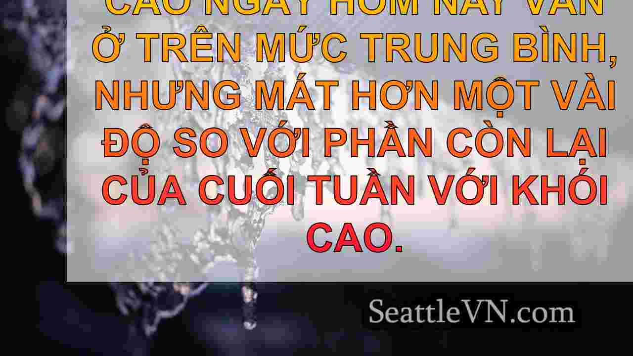 tin tức seattle SeattleVN